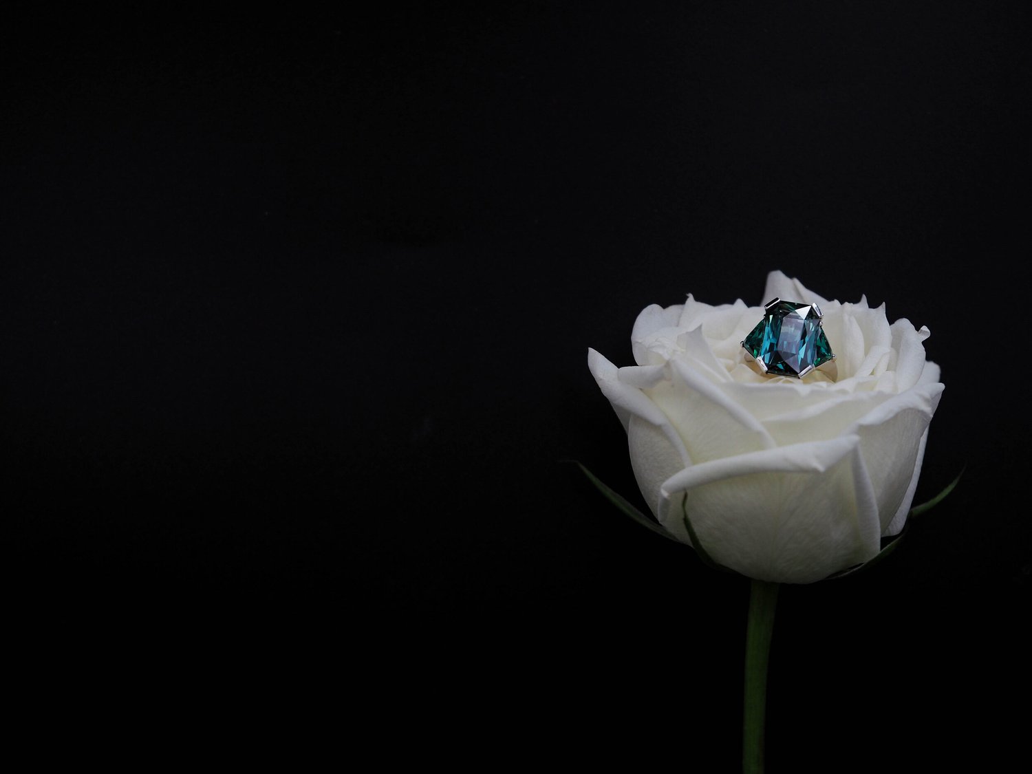 Gemstone and jewellery craftsmanship